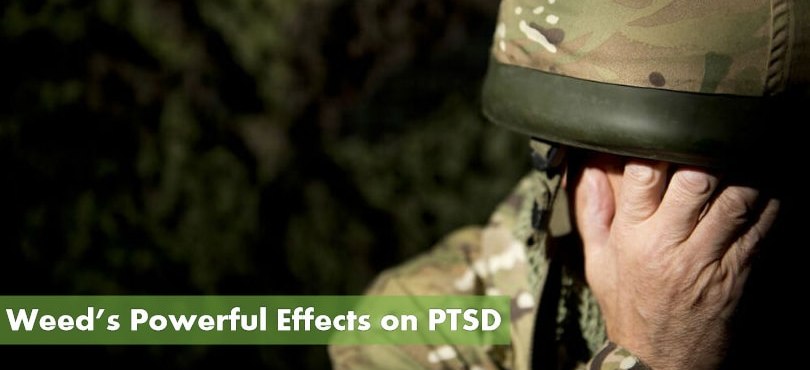 Marijuana and PTSD