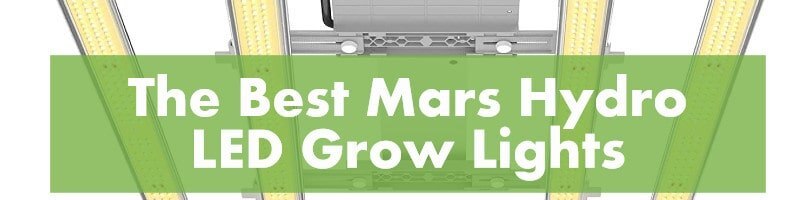 The Best Mars Hydro LED Grow Lights