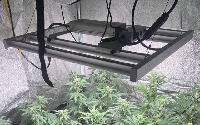 Mars Hydro FC3000 LED Grow Light