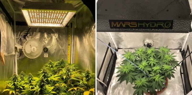 Mars Hydro TS 600 LED Grow Light