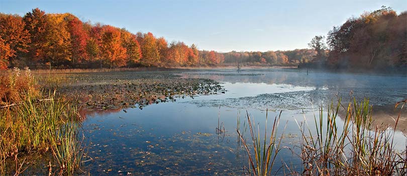 Ohio Nature