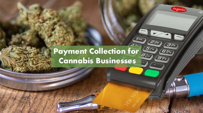 Payment Collection for cannabis businesses cover photo