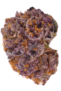 Purple Kush Seeds Bud