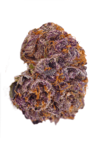 Purple Urkle Seeds Bud