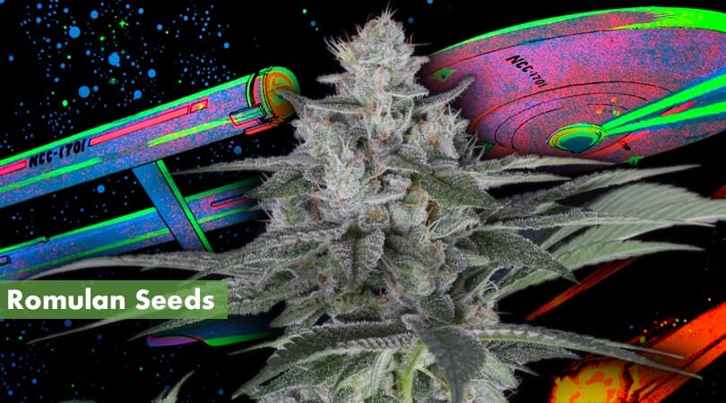 Romulan Seeds Cover Photo