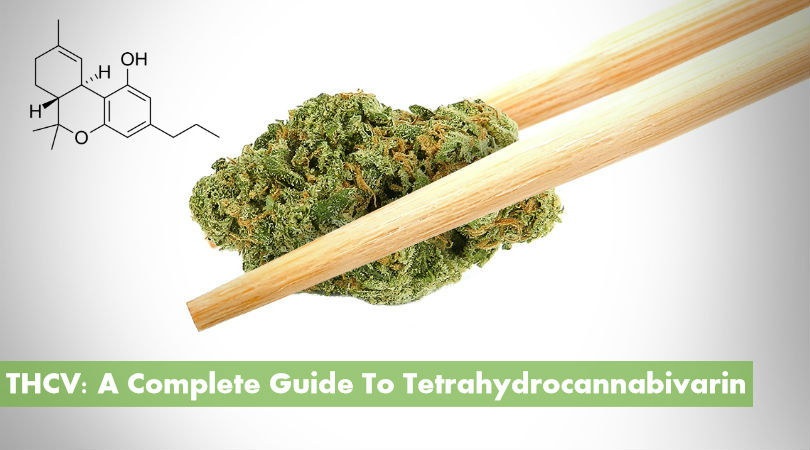 THCV: A Complete Guide to Tetrahydrocannabivarin