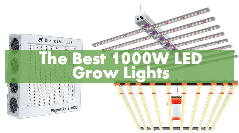 The Best 1000W LED Grow Lights Cover Photo