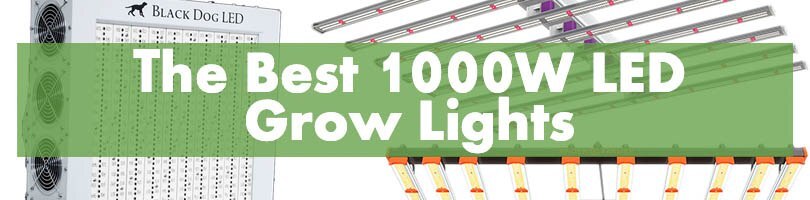 The Best 1000W LED Grow Lights Featured Image