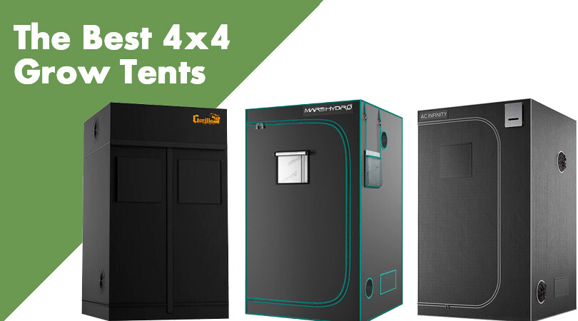 The Best 4x4 Grow Tents Cover Photo