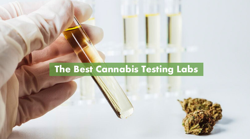 The Best Cannabis Testing Labs Cover Photo
