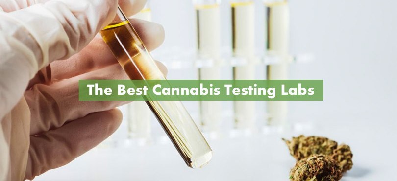 The Best Cannabis Testing Labs Featured Image