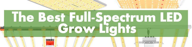 The Best Full-Spectrum LED Grow Lights Featured Image