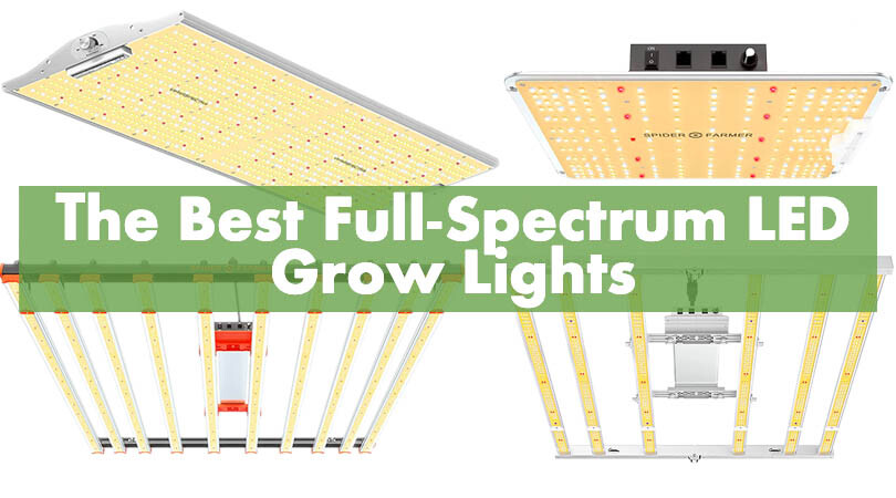 The Best Full-Spectrum LED Grow Lights