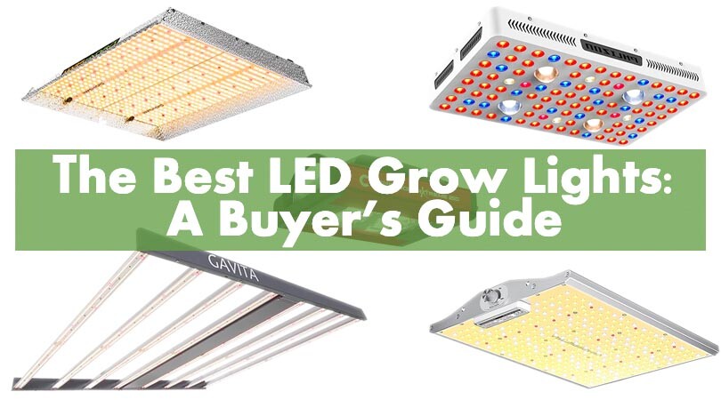 The Best LED Grow Lights Cover Photo