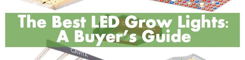 The Best LED Grow Lights Featured Image