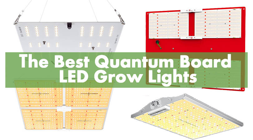 The Best Quantum Board LED Grow Lights Cover Photo