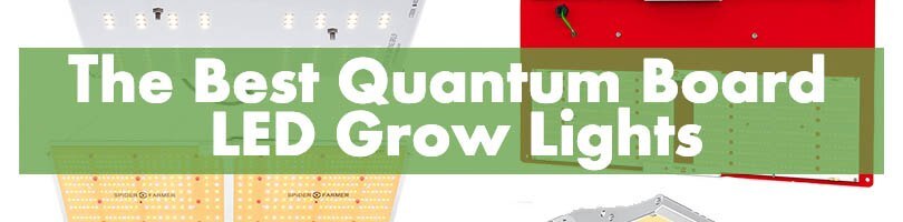 The Best Quantum Board LED Grow Lights Featured Image