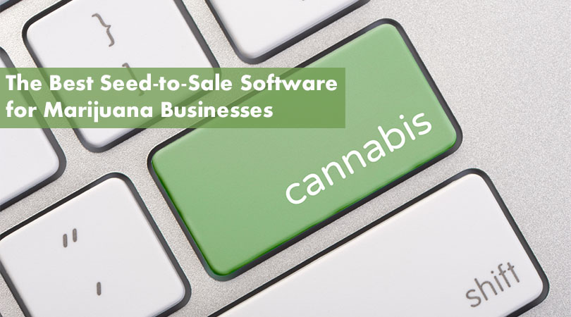 The Best Seed-to-Sale Software for Marijuana Businesses Cover Photo 2