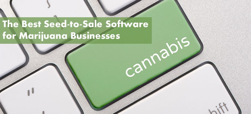 The Best Seed-to-Sale Software for Marijuana Businesses Featured Image