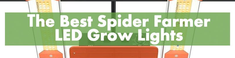The Best Spider Farmer LED Grow Lights Featured Image V3