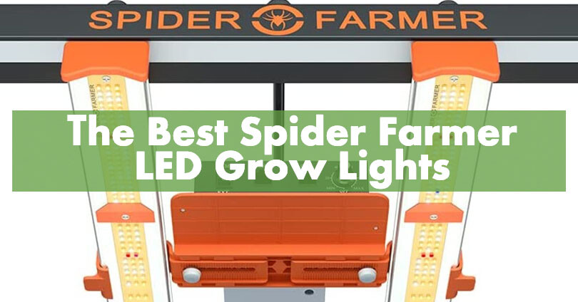 The Best Spider Farmer LED Grow Lights Featured Image V3