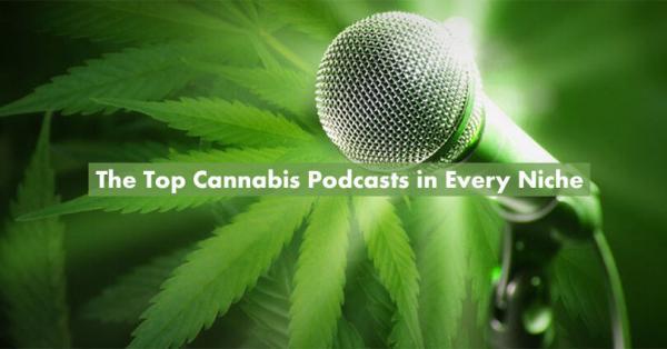 The Top Cannabis Podcasts Featured Image