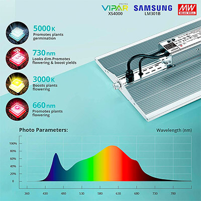 VIPARSPECTRA XS4000 spectrum copy