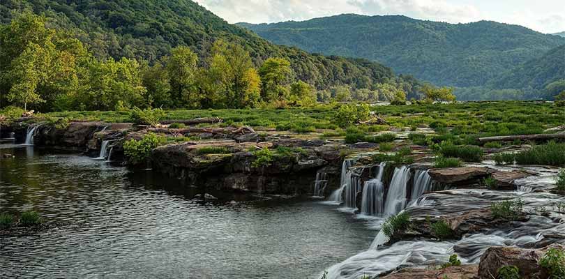 Vermont Nature