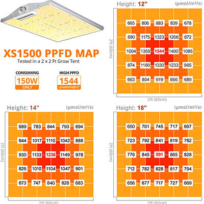 Viparspectra XS1500 features 1