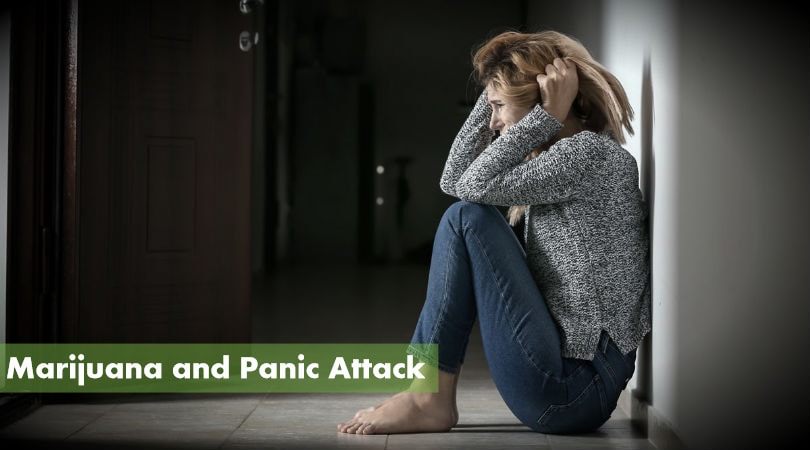 Marijuana and Panic Attack / Weed Panic Attack