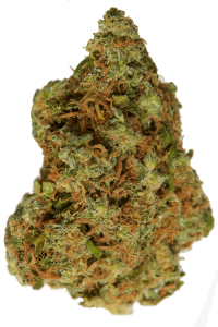 White Widow Seeds Bud