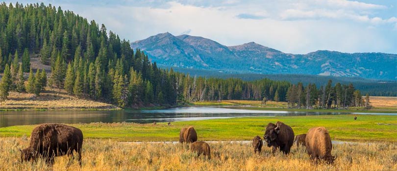 Wyoming Climate Yellowstone