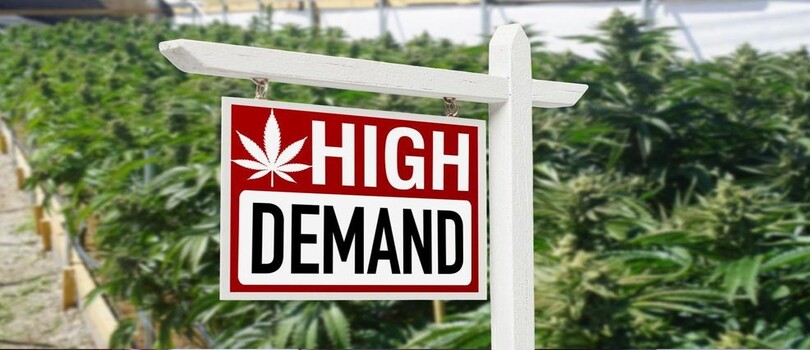 Cannabis Real Estate sign