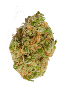 Cannatonic Seeds Bud