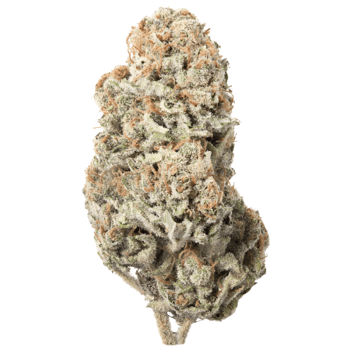 Chemdog #4 Bud