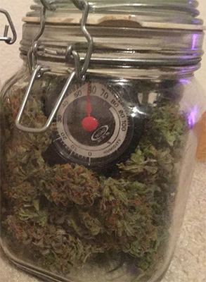 hygrometer in cannabis jar