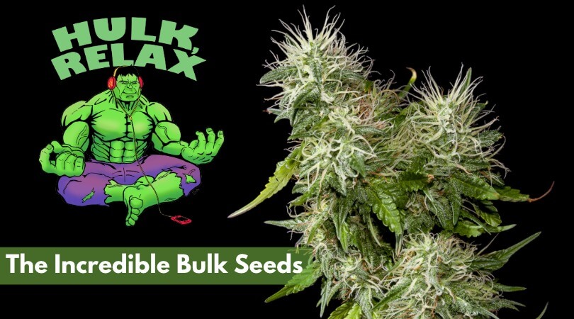 the incredible bulk seeds