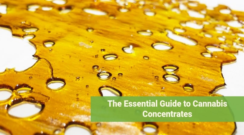 The Essential Guide to Cannabis Concentrates