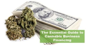 The Essential Guide to Cannabis Business Financing