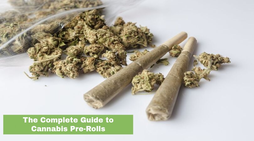 Cannabis Pre-Rolls and buds