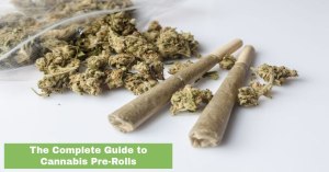 Cannabis Pre-Rolls and Buds