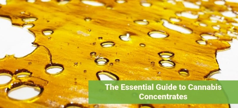 The Essential Guide to Cannabis Concentrates